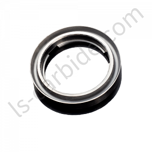 Polish Tungsten Carbide Seal Ring.png