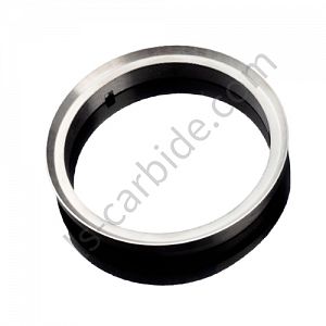 Raw material sealing ring