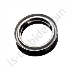 Tungsten Carbide rings for various sealing industries